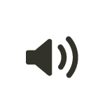 icvoice2